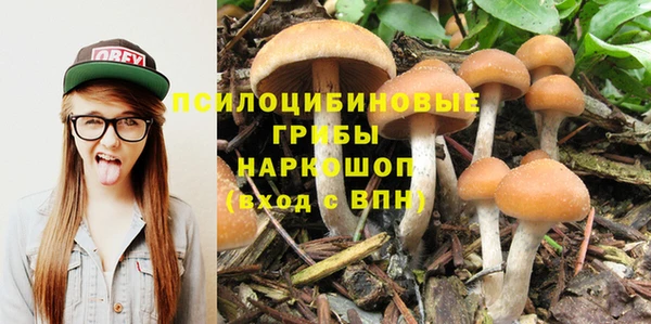 альфа пвп Зеленодольск
