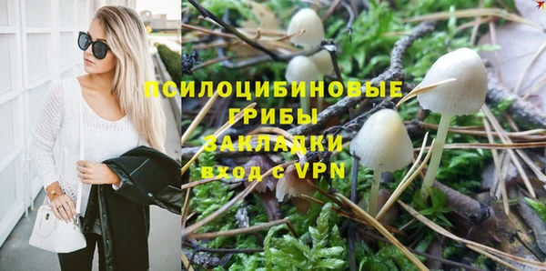 твердый Пересвет