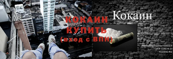 дживик Переславль-Залесский
