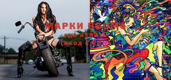 молекула духа Осташков