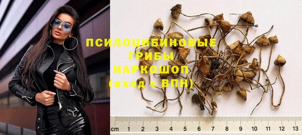 молекула духа Осташков