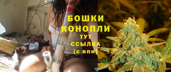 дживик Переславль-Залесский