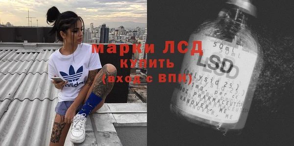 мдпв Гусев