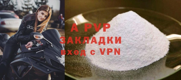 молекула духа Осташков