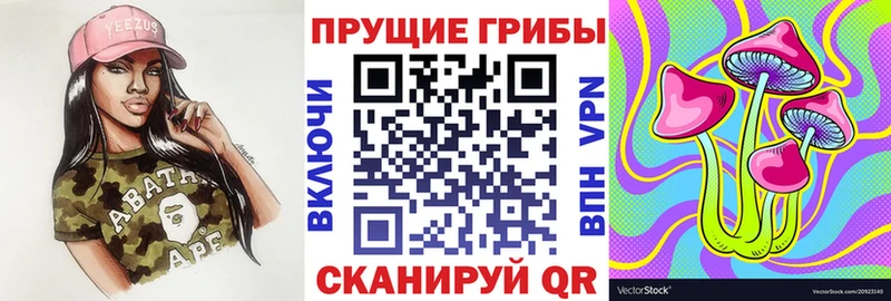 Псилоцибиновые грибы Cubensis  Алушта 