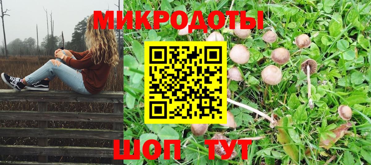 Алушта  Псилоцибиновые грибы Cubensis  продажа наркотиков  Вход с VPN 