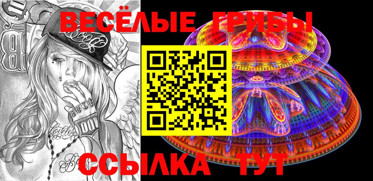 Псилоцибиновые грибы Psilocybe Алушта